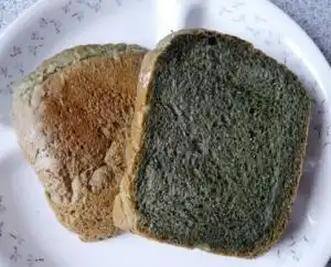 ヨモギパウダー食パン